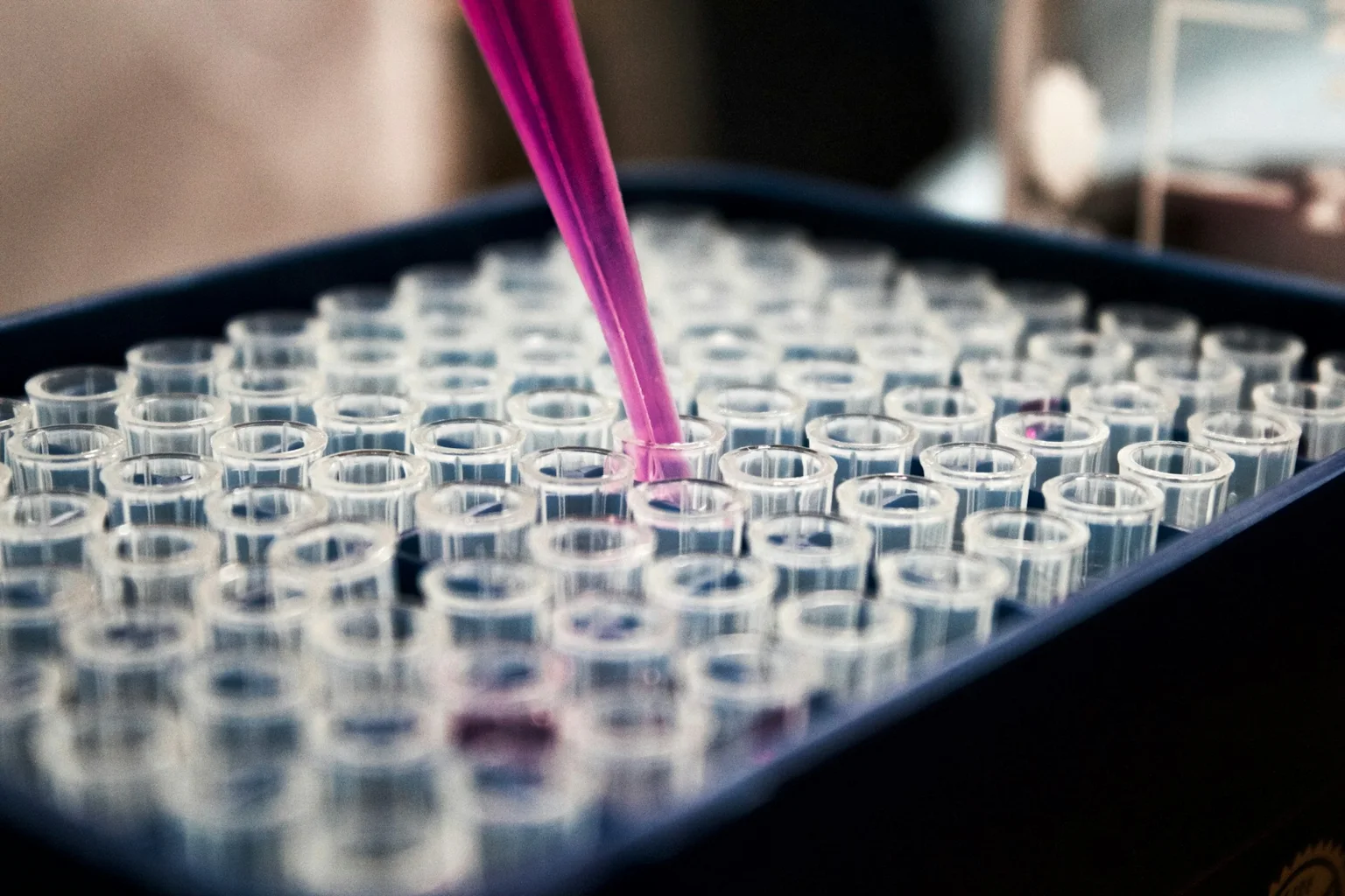 Pipette und Probenplatte im Labor